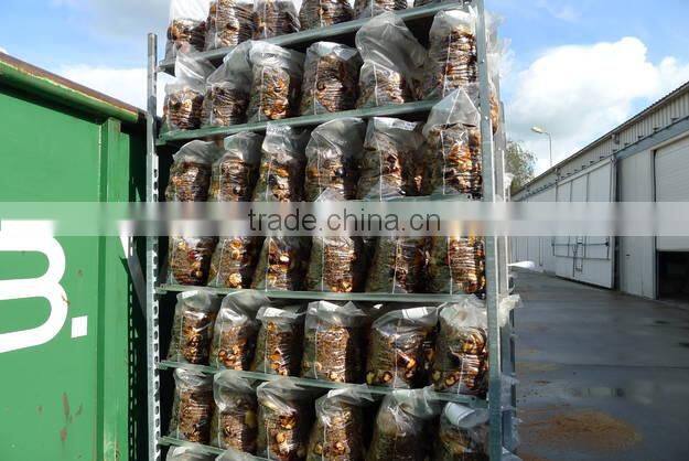 high-quality clean bench price mushroom cultivation