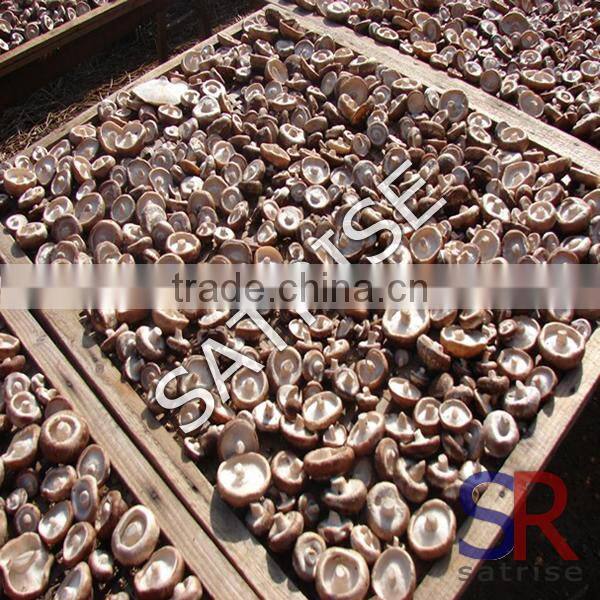 2016 Hot Selling industrial dryer machine for fresh mushroom drying