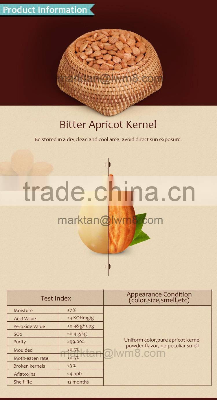 The blanched bitter apricot kernels/(GUANGBEI Type) made in china.