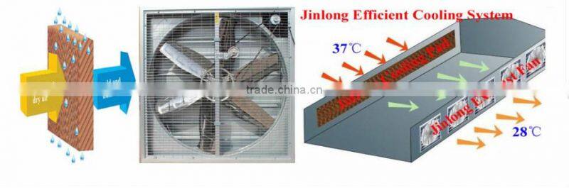 China Cellulose Evaporative Wet Cooler Pad For Sale/Evaporative Cooling System Supplier