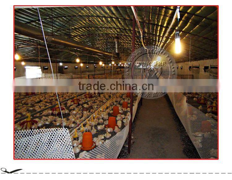 Poultry Automatic Feeding Drinking system for Chicken brolier