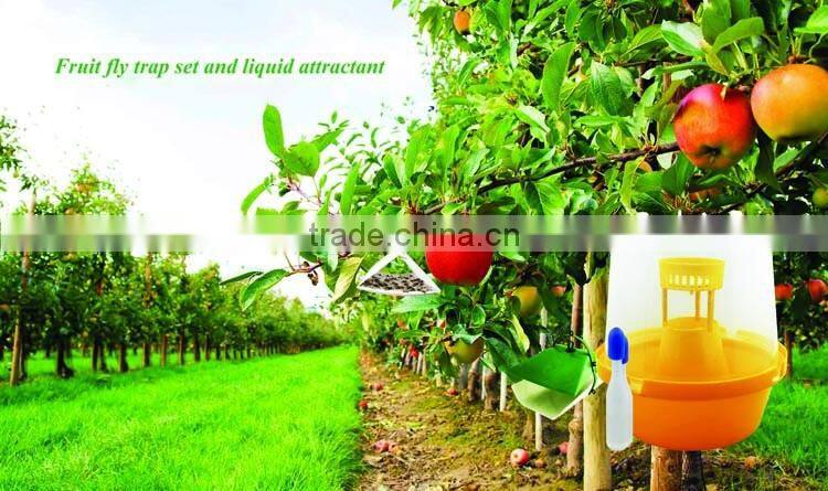 Fruit fly trap and liquid attractant (plant essence)