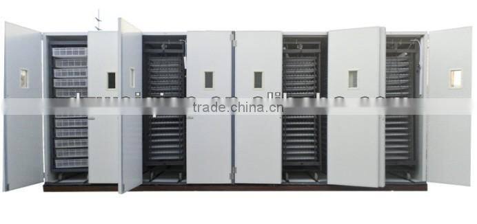 50000 eggs large size incubator