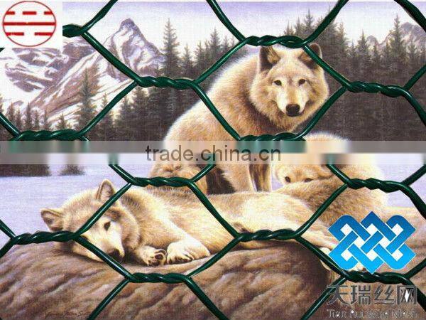 chicken wire mesh/hexagonal wire netting/hexagonal wire mesh
