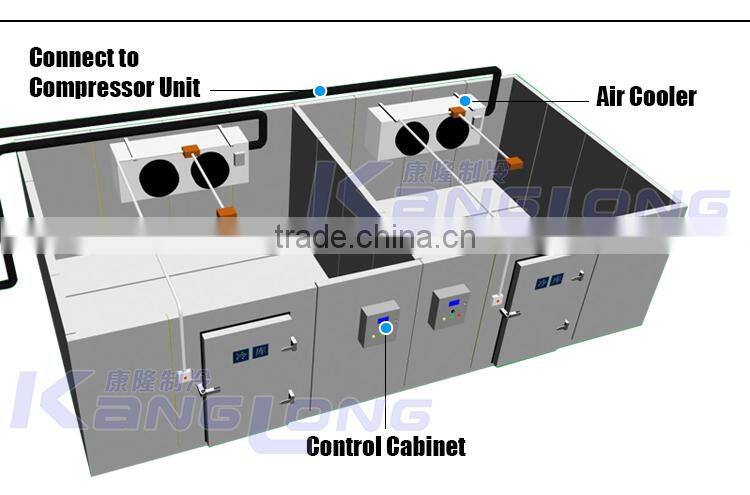 Good Quality New Technology Cold Storage Solutions