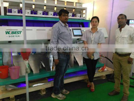 High Cetificate Hot Selling Professional Raisins Colour Sorter Supplier