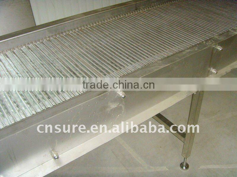 food grade belt conveyor system