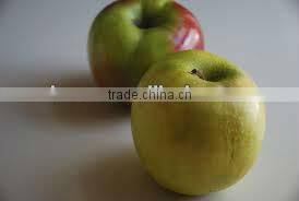 Plastic Apple Shape Saver, Apple Fresh Box, Apple Container Crisper
