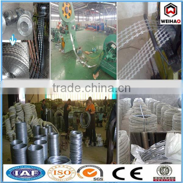 concertina razor barbed wire factory with low price