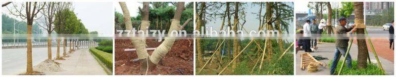 Simple Rice Straw Rope Making Machine | Hay Straw Knitting Machine | Reed Straw Rope Spinning Machine