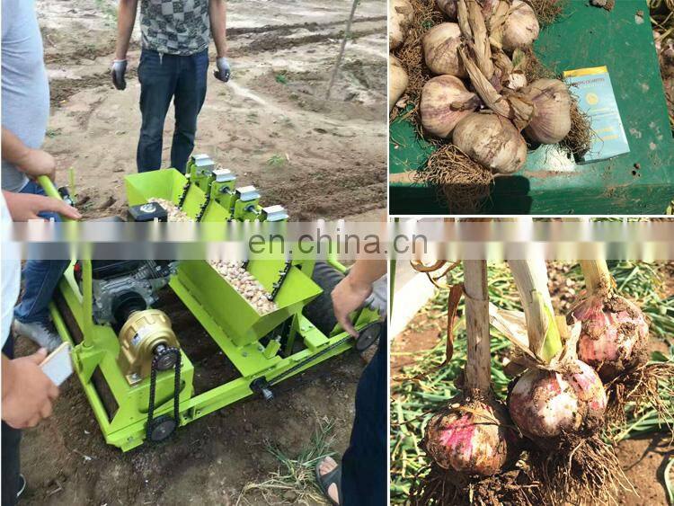 hand planter for garlic / Hand push garlic seeder / Garlic planting machine
