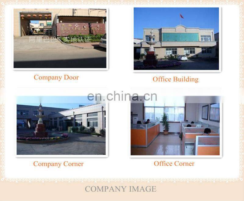 Multifunctional Tyre Changer (YT-1300, garage equipment)