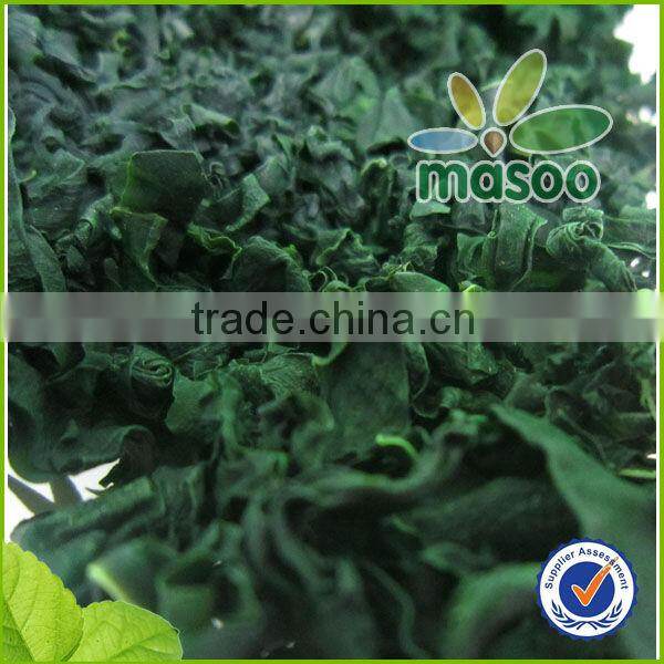 dried kelp seaweed