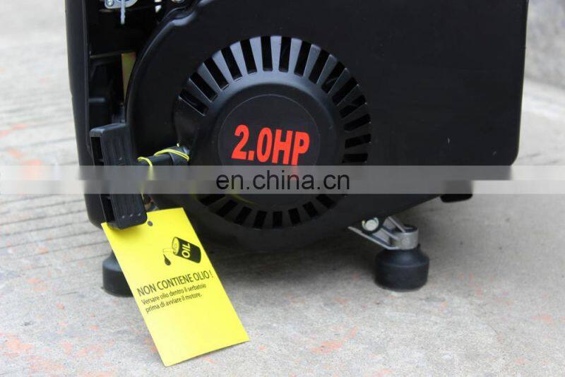 BISON(CHINA)BS950A 650w Gasoline Generator 950
