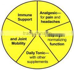 Healthy grade Noni powder bulk suppliers