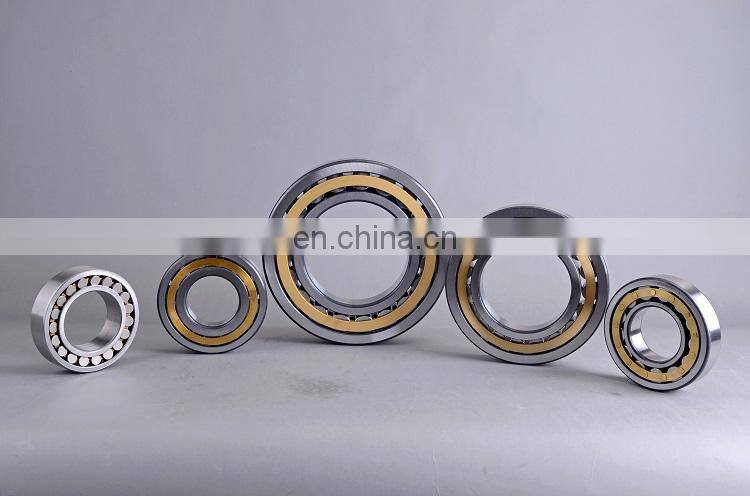 Hot Selling Factory Price Silver NU216 Double Row Cylindrical Roller Bearing Carbon RN309