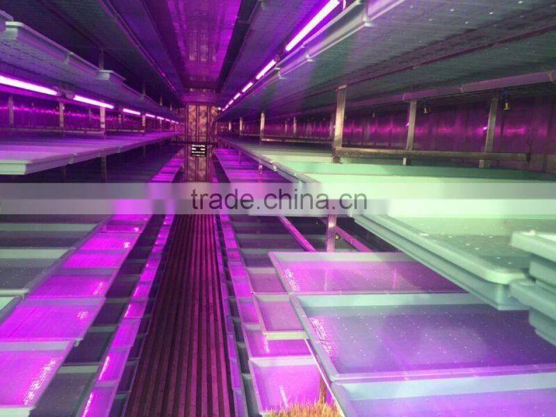 500kg animal fodder hydroponics