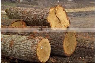 Bulk Health wood comb For Hair ,Beard Comb ,Laser Comb