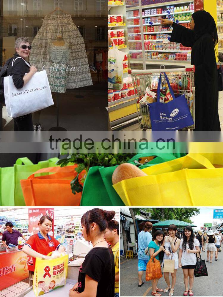 Non Woven Shopping Bag Eco Non Woven Bag Pictures Printing Shopping Non Woven Bags,SGS Audited,Customized Logo Accepted