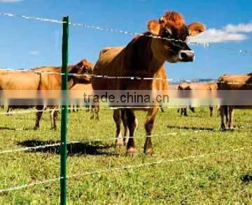 American Steel Fence Post