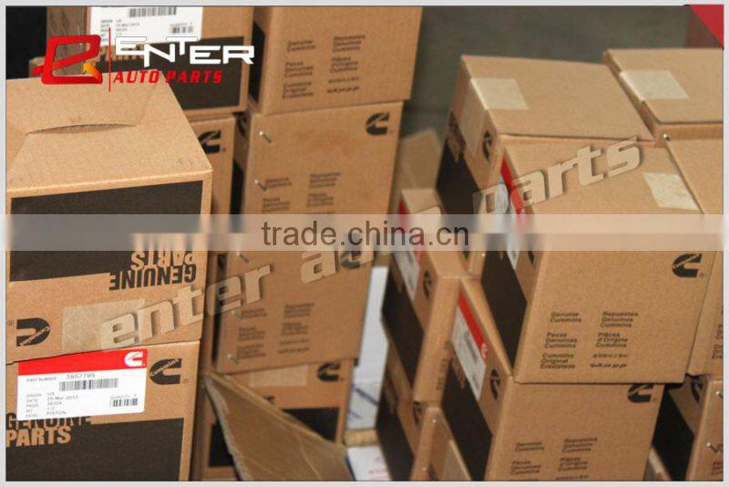 3017348 Piston Ring Set with Factory Direct Price