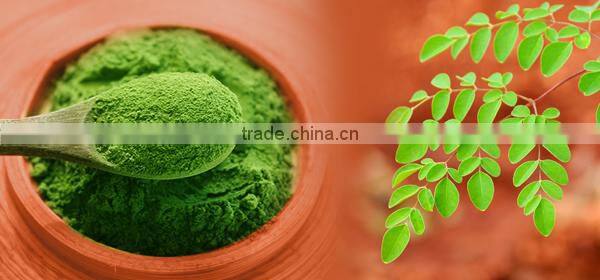 High Grade Moringa Leaf Powder For Healthy Life