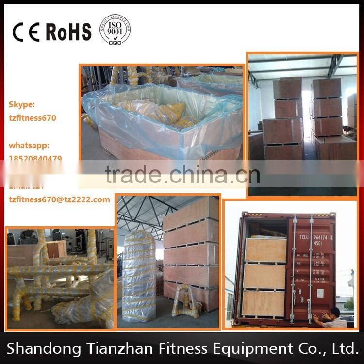 High Quality Lateral Raise for GYM ISO SGS TUV CE Approved TZ Fitness