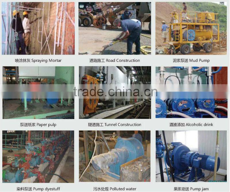 Sincola Flexicon Peristaltic Pump for Sale