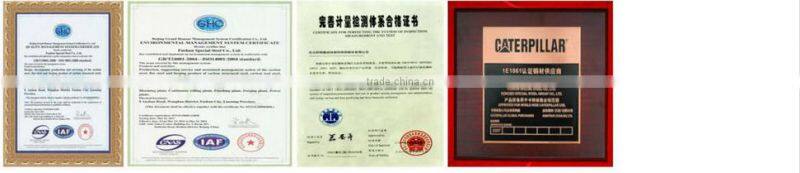 CE TUV Certicification ISO 9001 wire fence (20 years Factory)ISO 9001