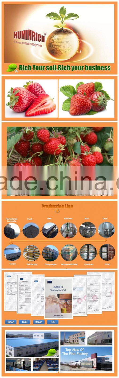 Huminrich Insoluble Slow Release Black Brown Granule Low Price Humic Acid