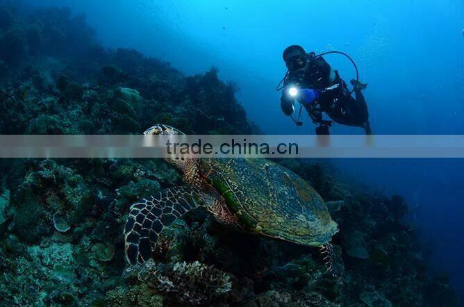 C89 Aluminum Alloy 500lumens high power Wateroroof Rechargeable Flashlight Diving Torch With 5 Lighting Modes