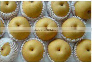EPE Sleeve Uesed As The Package Of Fruit