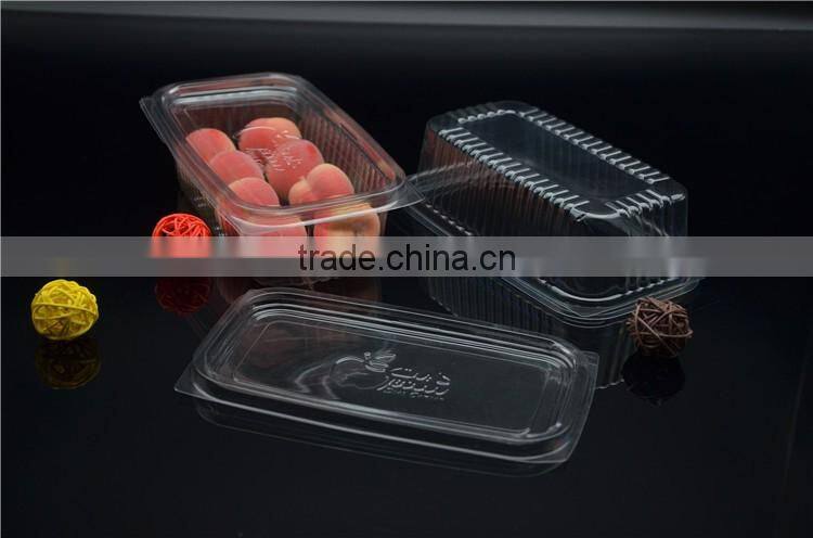 High quality disposable plastic fruit and food container