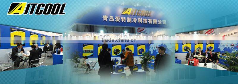 Hig quality Dual voltage auto Refrigerant recovery machine RECO250D