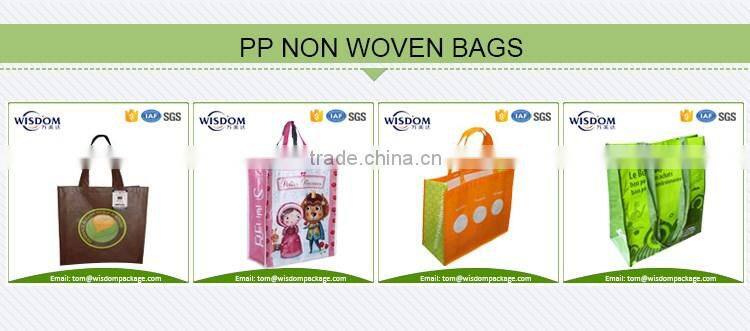 manufacturer of eco promotion pp non woven bag