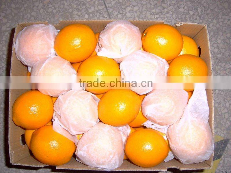 Chinese Neval Orange
