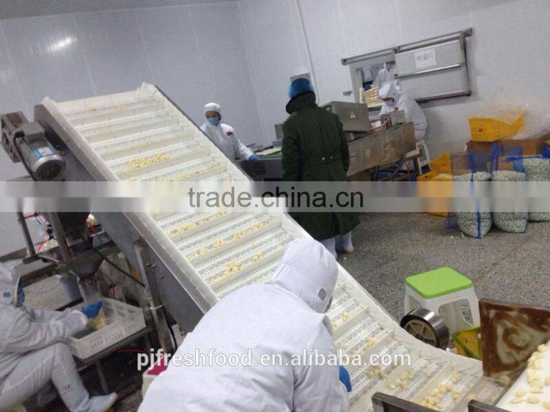 Fresh peeled garlic 5lbx6bg/carton