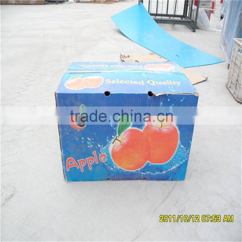 2014 New Chinese Fresh Red Fuji Apple