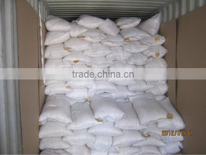 Snow White Pumpkin Seeds