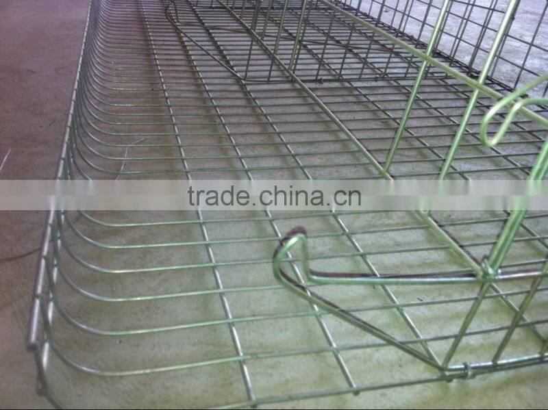 A type Layer Chicken Cage