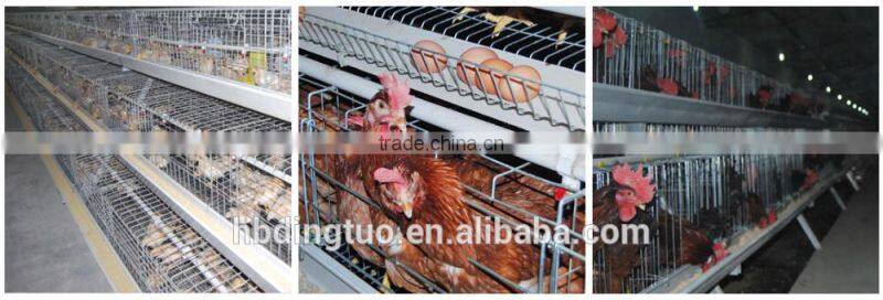 TA NO.1 free sample free postage design metal quail cage