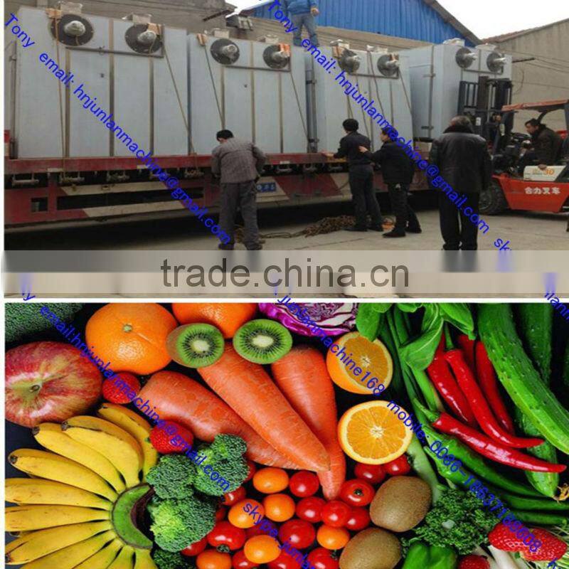 potato dryer machine /mushroom dryer machine