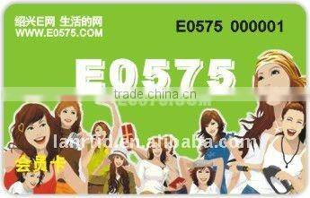 ISO printing e-web VIP card for promotion