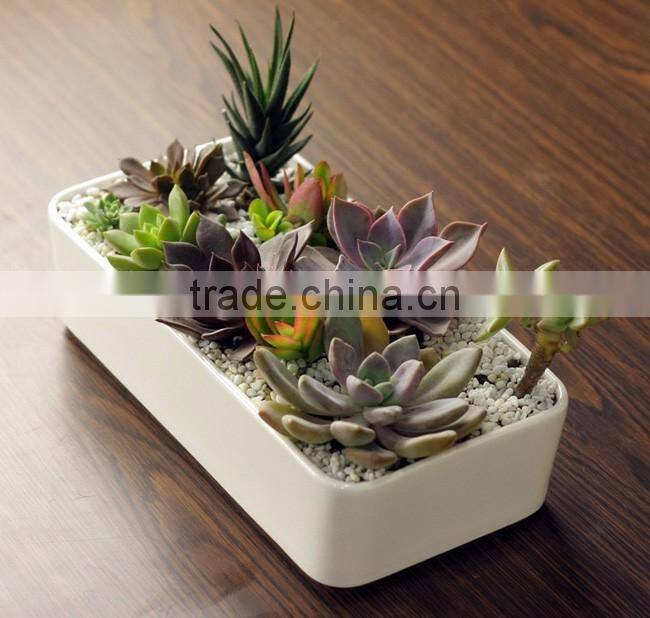 Home desktop decorative white rectangular ceramic planter