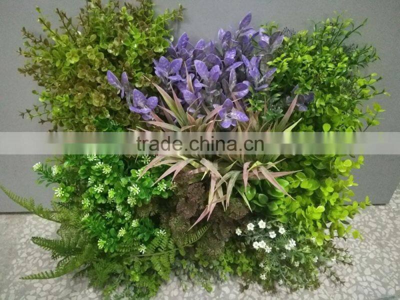 Decorative frame wall hanging grass plants