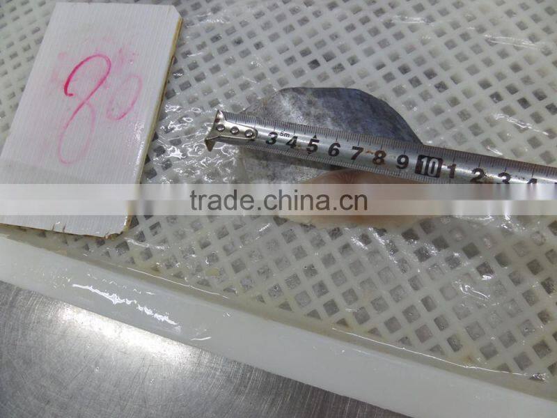 frozen spanish mackerel steaks