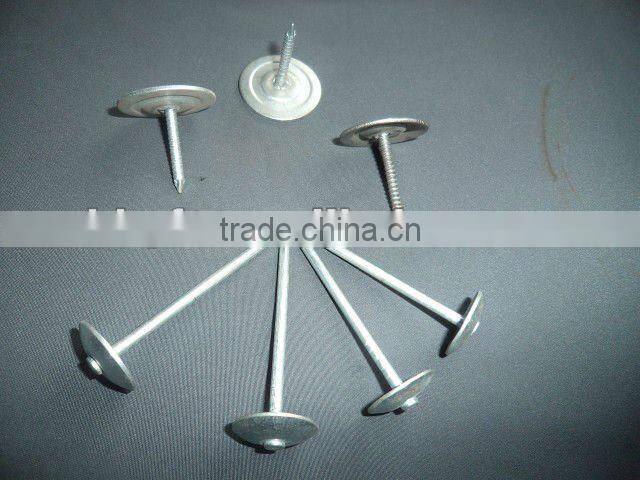umbrella roofing nails to south America china supplier on sale