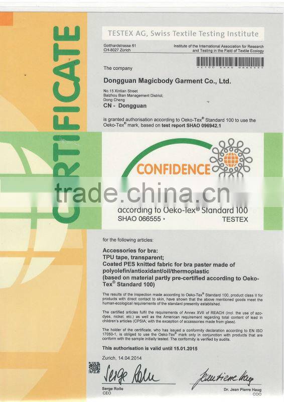 hot sale ladies sexy net underwear silicone boobs bra