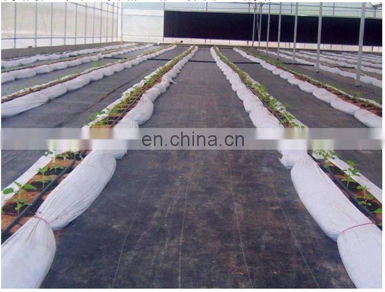 Agricultural garden plastic weed block mat / pp ground cover / weed control mat