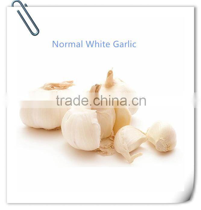 wholesale new crop Jinxiang garlic OEM garlic factory garlic export